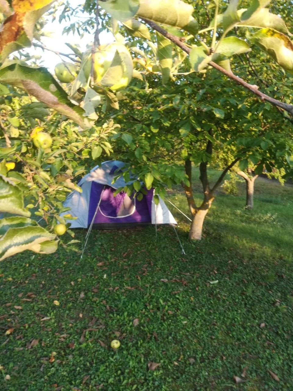 Ferienwohnung Viola Apartman Belapatfalva Exterior foto